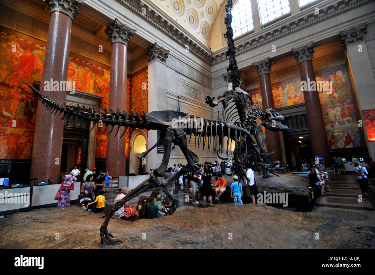 Scheletro di dinosauro presenta nella sala principale del museo americano sulla storia naturale a Manhattan, New York. Foto Stock