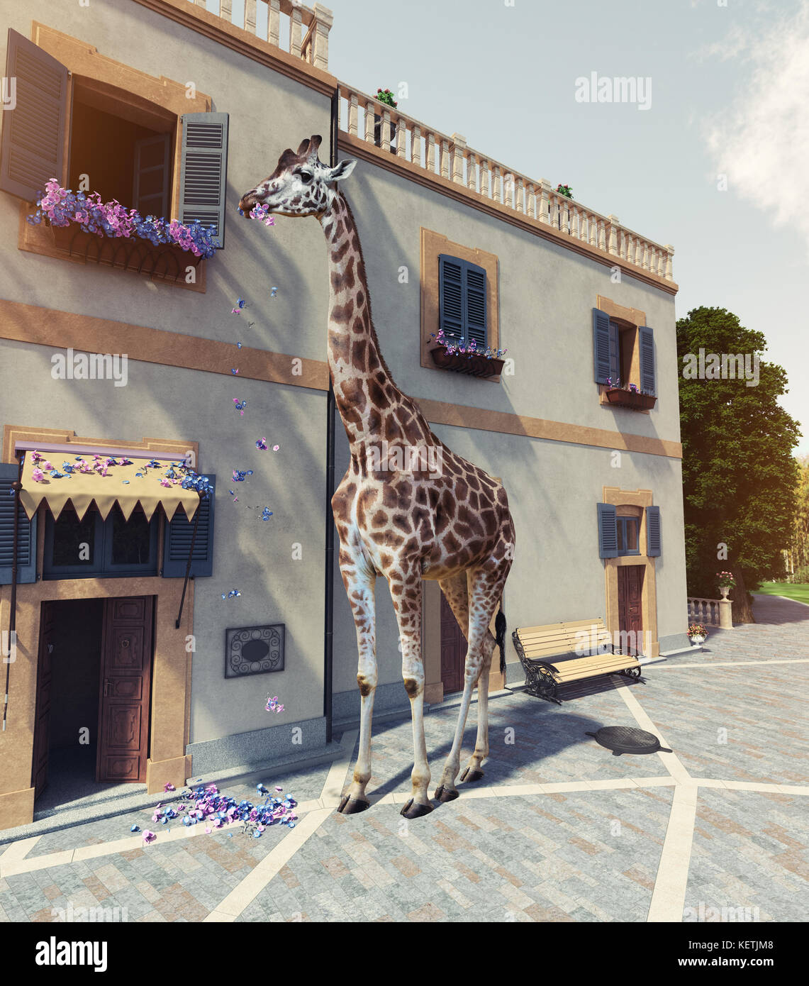 La giraffa mangia fiori dalla finestra della casa secondo piano. media concetto misti. Foto Stock
