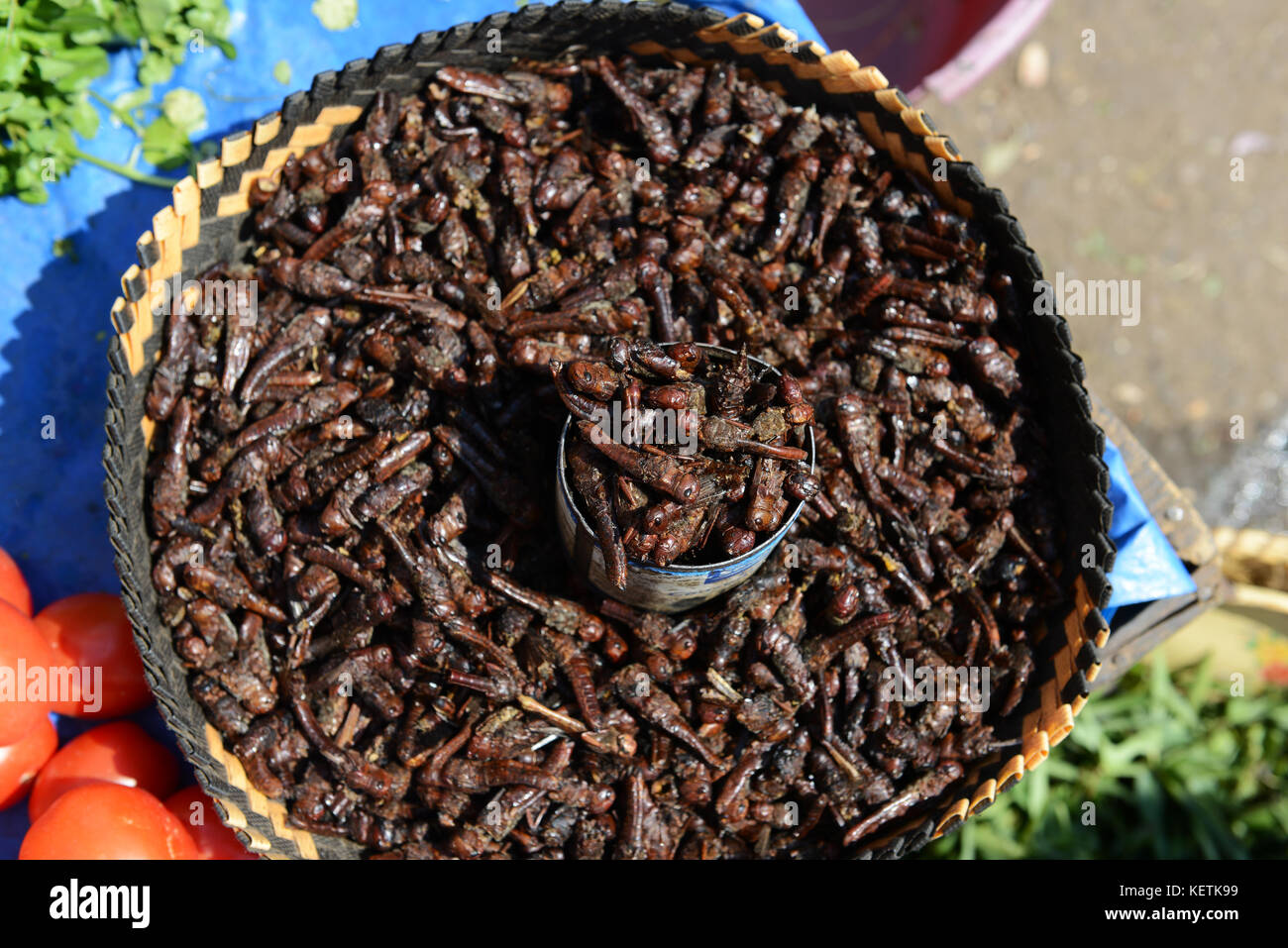 Fritte locust venduti in un mercato in Madagascar centrale. Foto Stock Fritte locust venduti in un mercato in Madagascar centrale. Foto Stock
