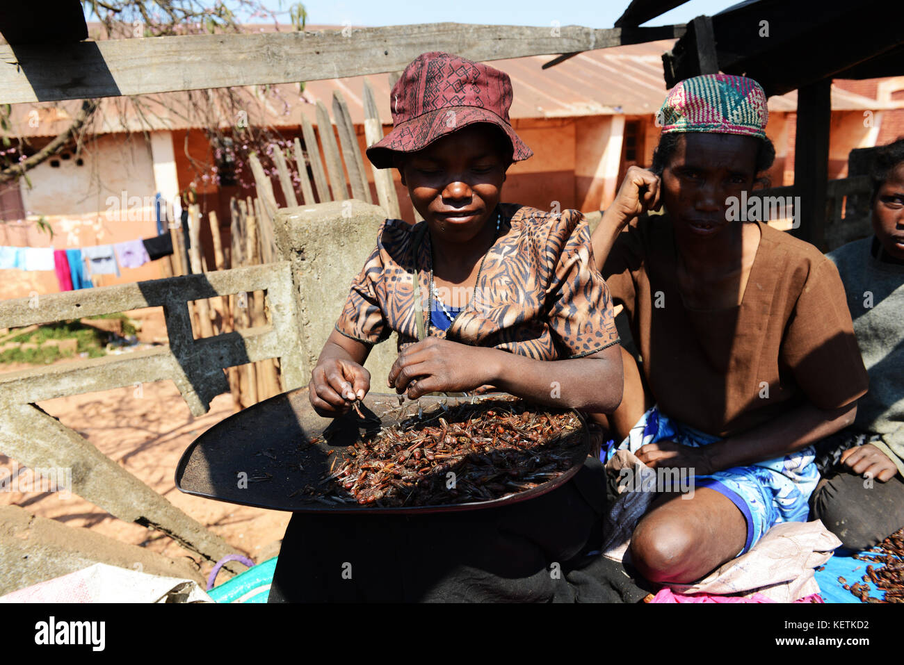 Fritte locust venduti in un mercato in Madagascar centrale. Foto Stock Fritte locust venduti in un mercato in Madagascar centrale. Foto Stock