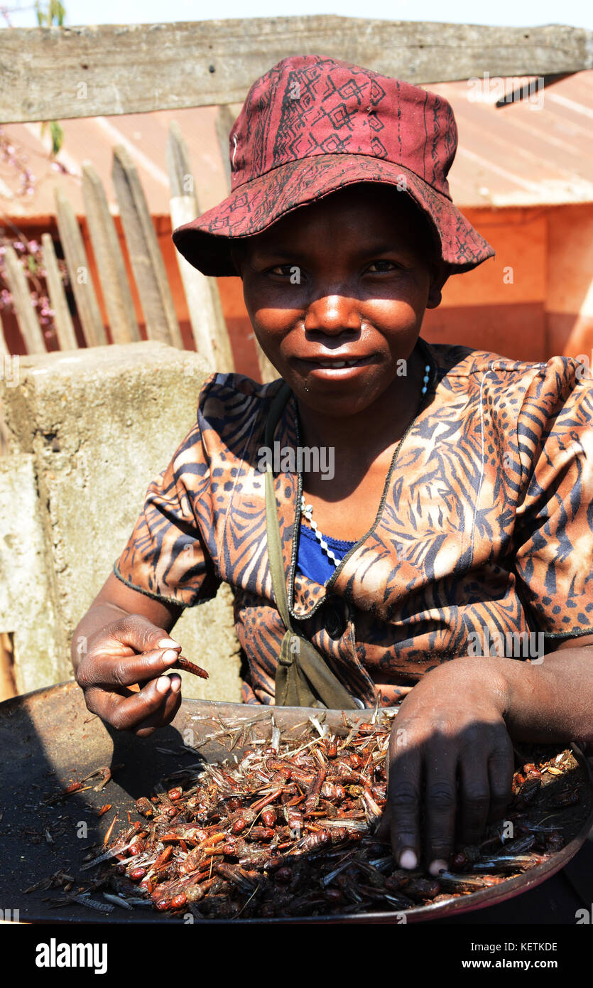 Fritte locust venduti in un mercato in Madagascar centrale. Foto Stock Fritte locust venduti in un mercato in Madagascar centrale. Foto Stock