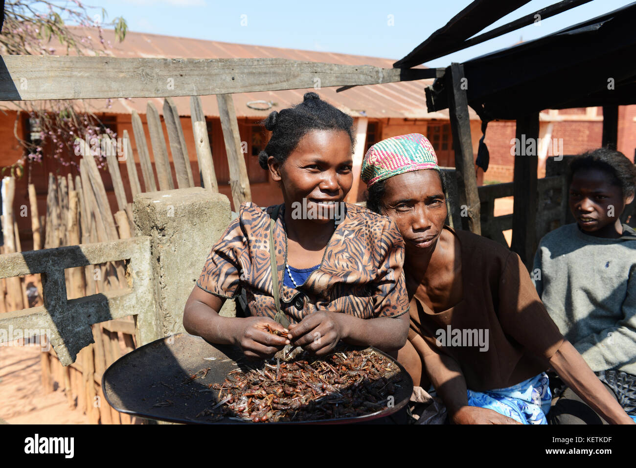 Fritte locust venduti in un mercato in Madagascar centrale. Foto Stock Fritte locust venduti in un mercato in Madagascar centrale. Foto Stock