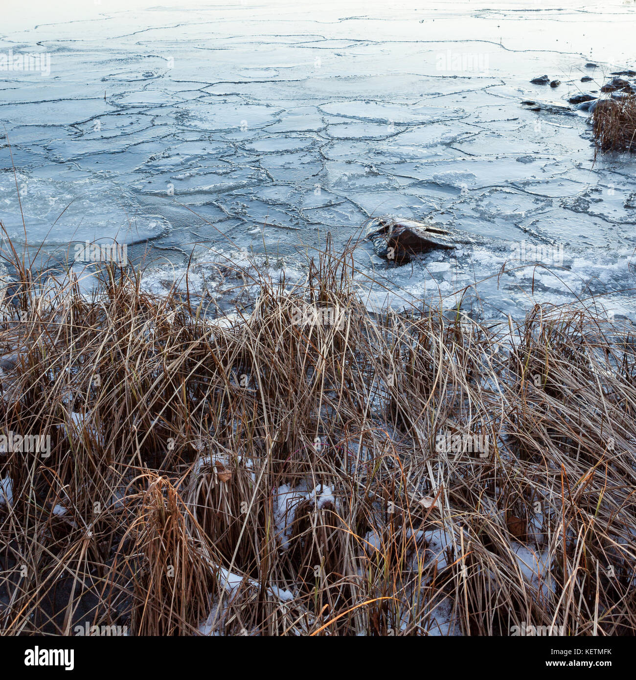 Pezzi di ghiaccio nel lago Foto Stock
