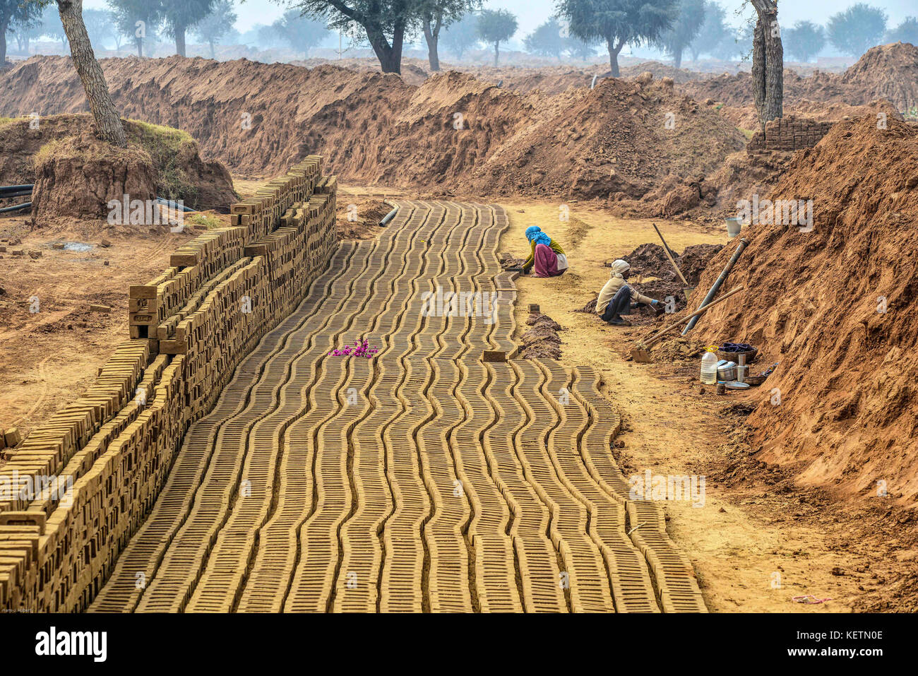 India Rajasthan: produzione di adobe-Mattoni a mano. I mattoni saranno sole-essiccati e poi licenziato Foto Stock