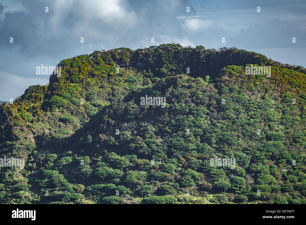 Dettaglio del cratere del vulcano nelle isole Azzorre, terceira Foto Stock