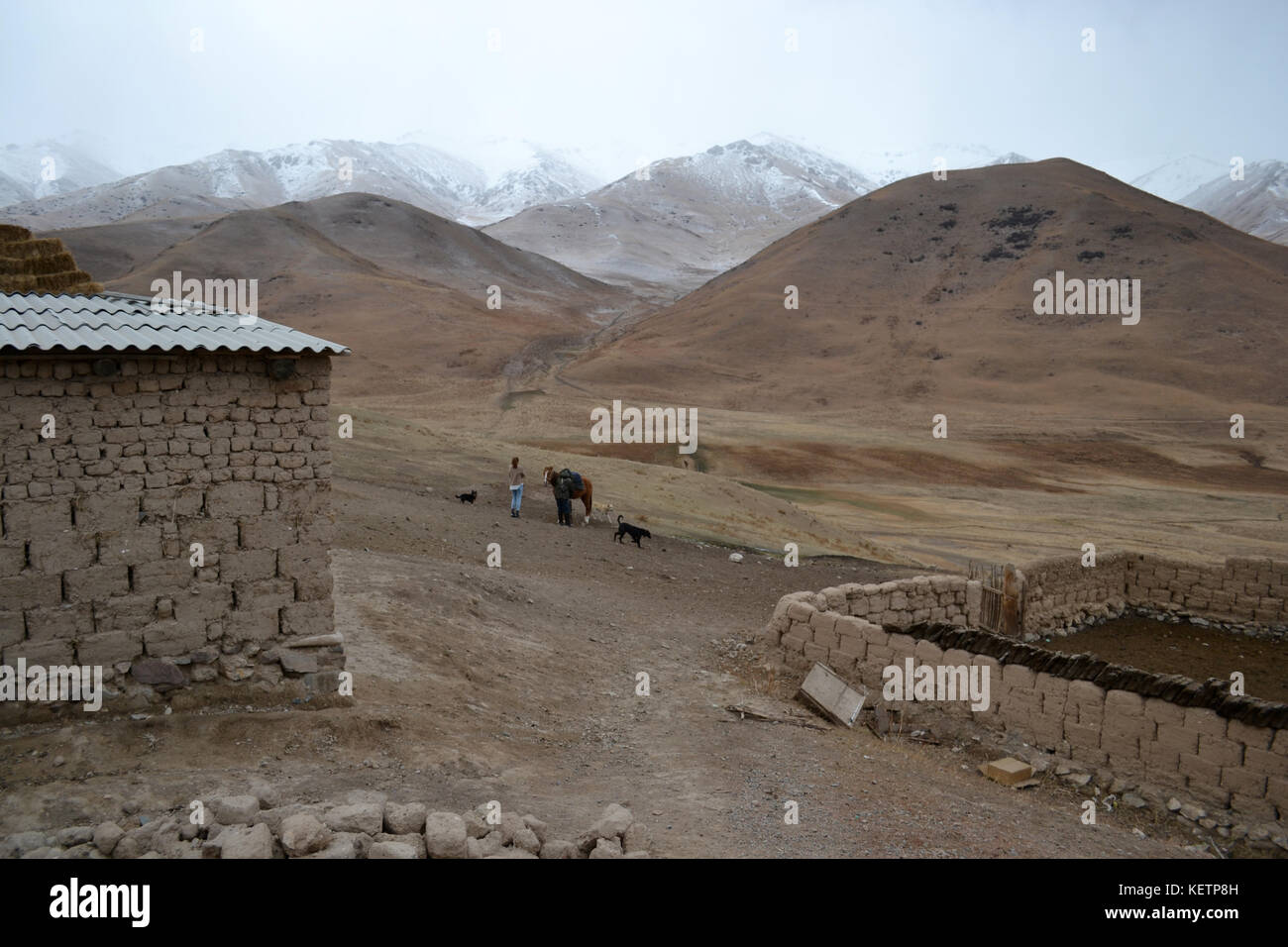 Le foto scattate durante 3 giorni di equitazione trek in Kirghizistan a Song Kol. montagne, paesaggi, steppa e cavalli. Foto Stock