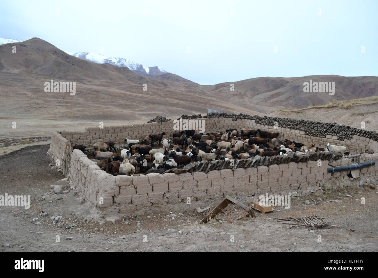 Le foto scattate durante 3 giorni di equitazione trek in Kirghizistan a Song Kol. montagne, paesaggi, steppa e cavalli. Foto Stock