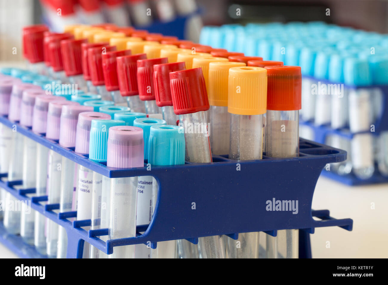 Berlino, Germania - Giugno 06, 2016: BD Vacutainer provette per la raccolta di campioni ematici Foto Stock