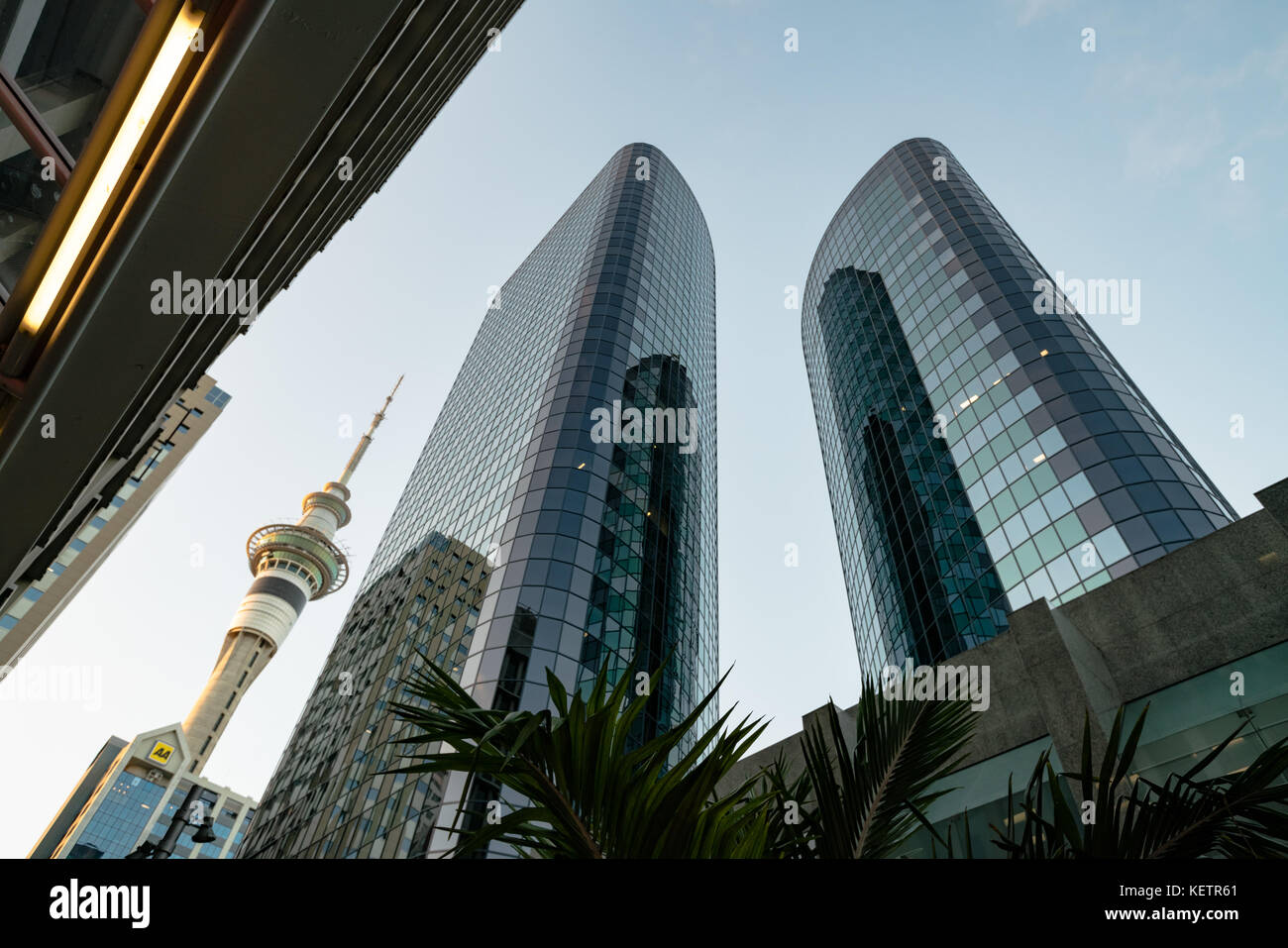 Auckland, Nuova Zelanda - Gennaio, 2016: grattacieli del centro finanziario della città Foto Stock