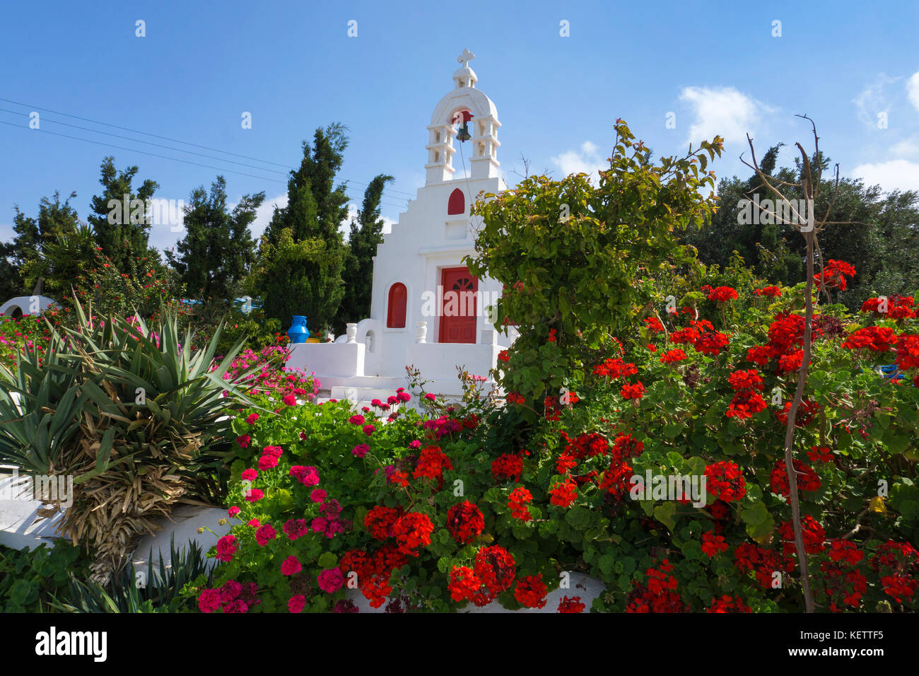Splendore floreale in corrispondenza di una piccola cappella, Ano Mera, Mykonos, Grecia Foto Stock