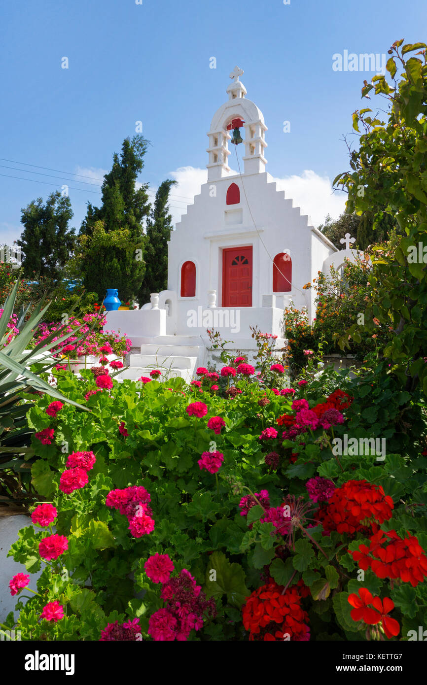 Splendore floreale in corrispondenza di una piccola cappella, Ano Mera, Mykonos, Grecia Foto Stock