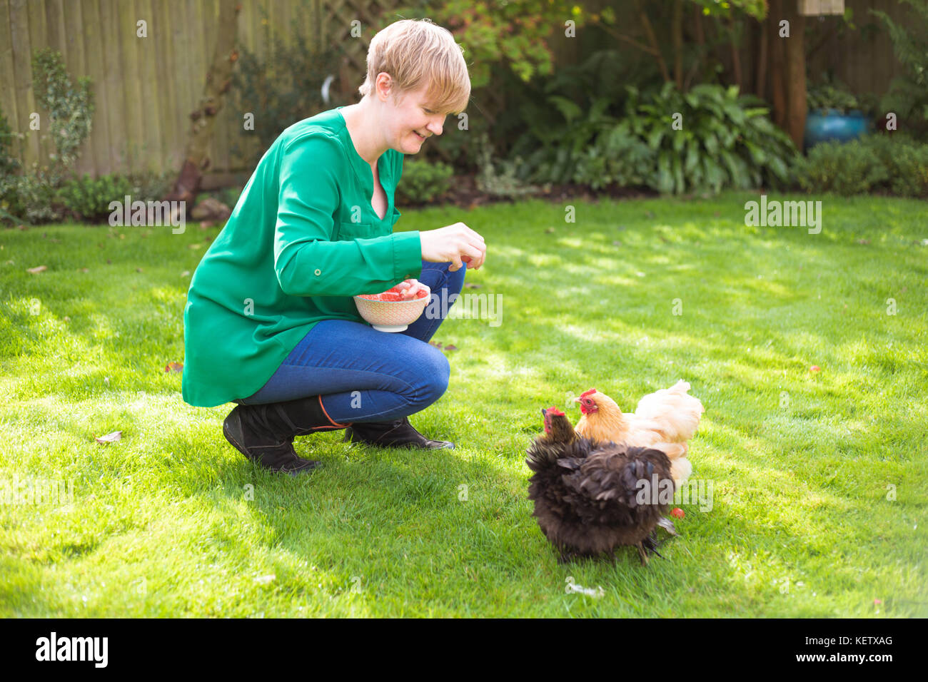Signora alimentando il suo pollo bantam animali domestici Foto Stock