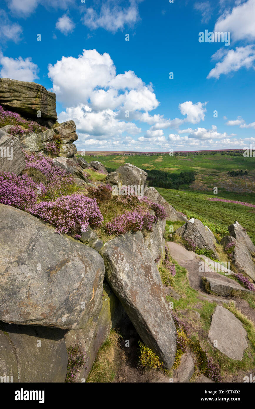 Sunny agosto giornata al higger tor nel parco nazionale di Peak District, Derbyshire. heather fioritura tra le rocce. Foto Stock