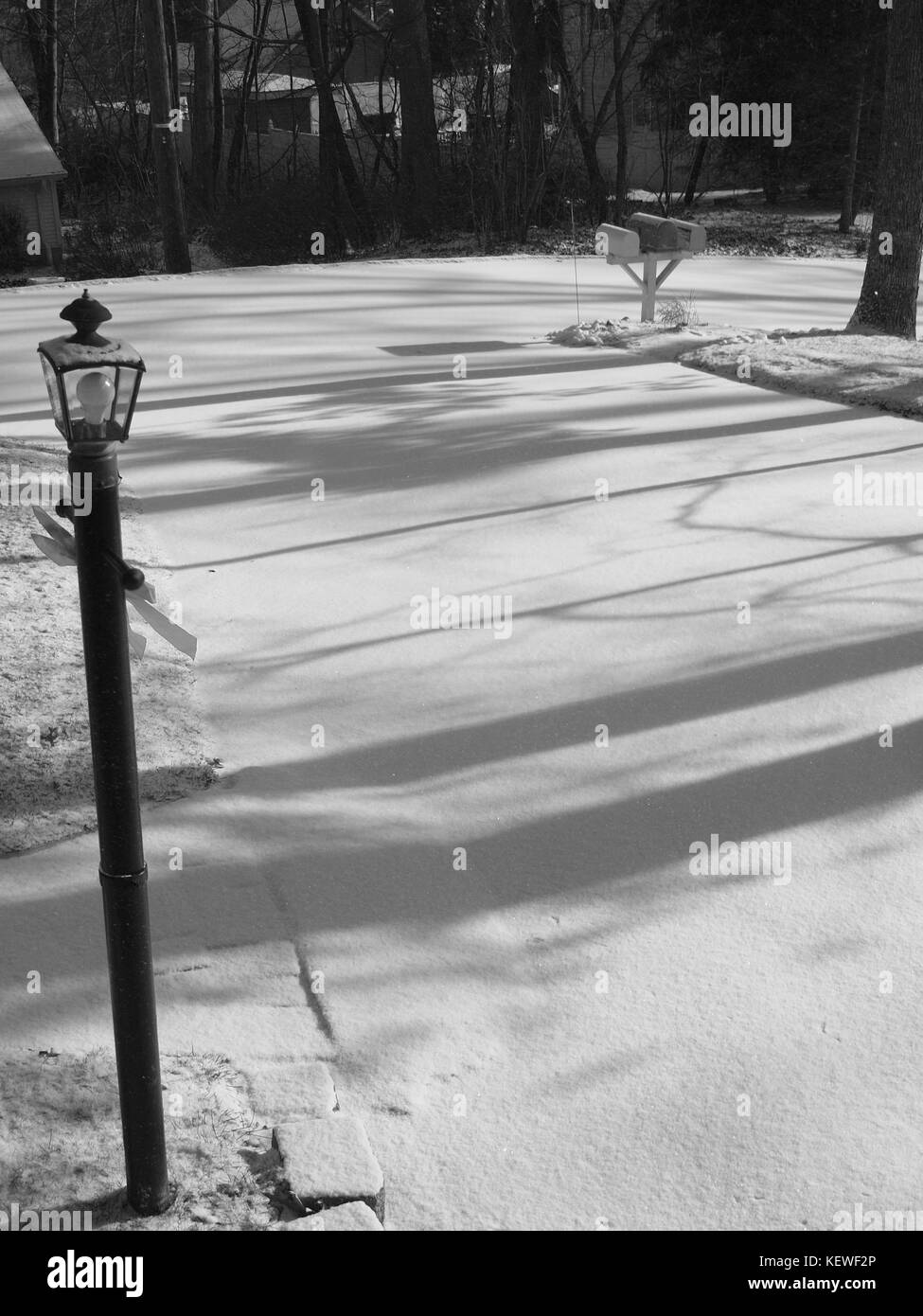 Inverno spolvero, Oak Ridge, NJ Foto Stock