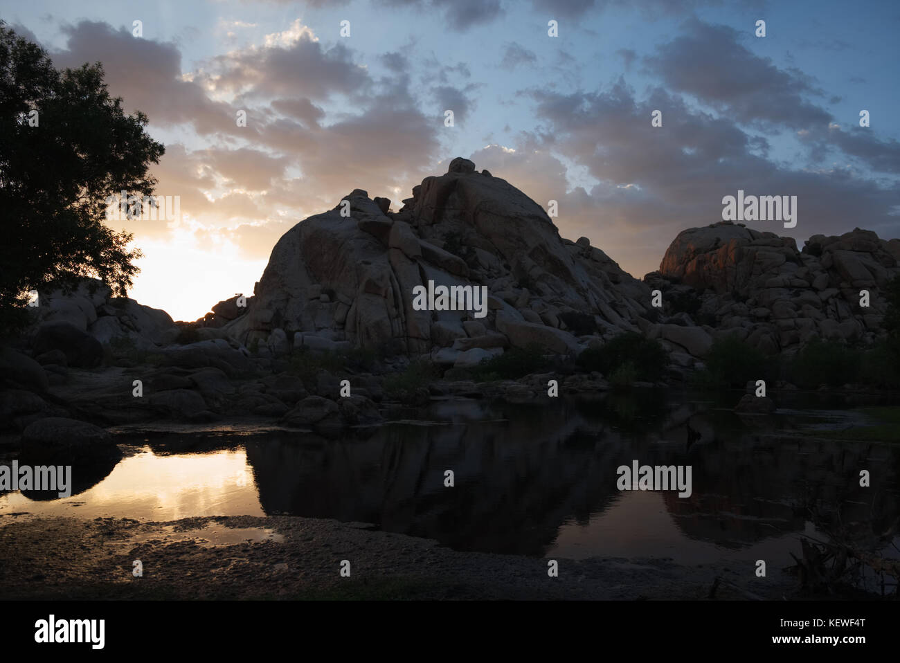 Tramonto su un oasi di montagna nel deserto mohave, Joshua Tree National Park, California, Stati Uniti d'America Foto Stock