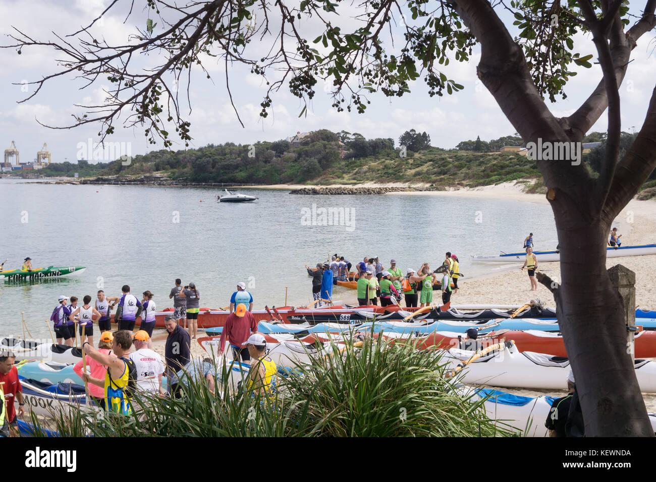 Una canoa outrigger gara a Sud di Sydney Foto Stock