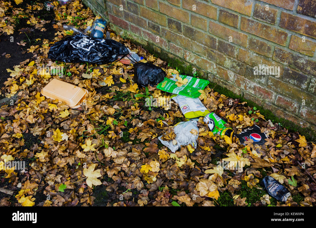 Il cestino e foglie di lettiera suburban inquinamento. Foto Stock