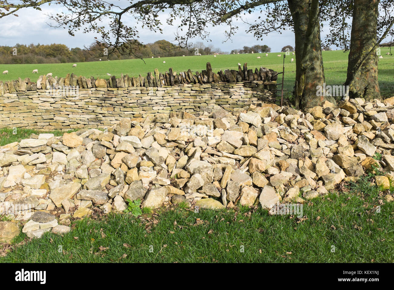 Asciugare la parete in pietra costruita presso il villaggio Costwold di Broadway in Worcestershire, Regno Unito Foto Stock
