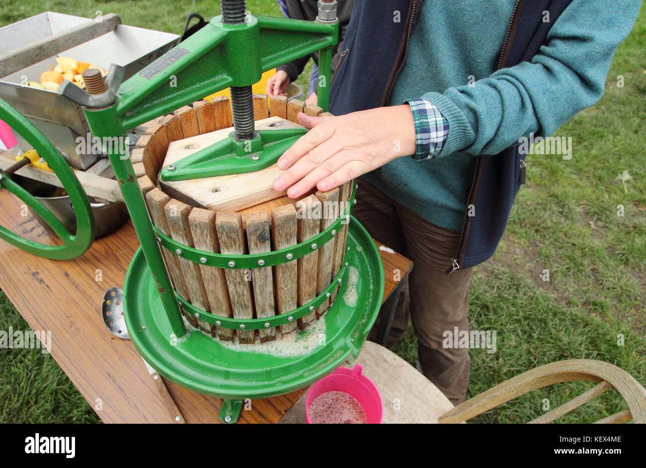 Appena raccolto le mele vengono premuti per il succo di frutta da un volontario in una comunità Apple Day celebrazione in un frutteto in inglese su una luminosa giornata autunnale, REGNO UNITO Foto Stock