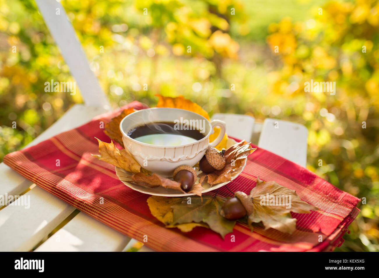 Tazza di caffè nella natura naturale con decorazione di autunno Foto stock  - Alamy