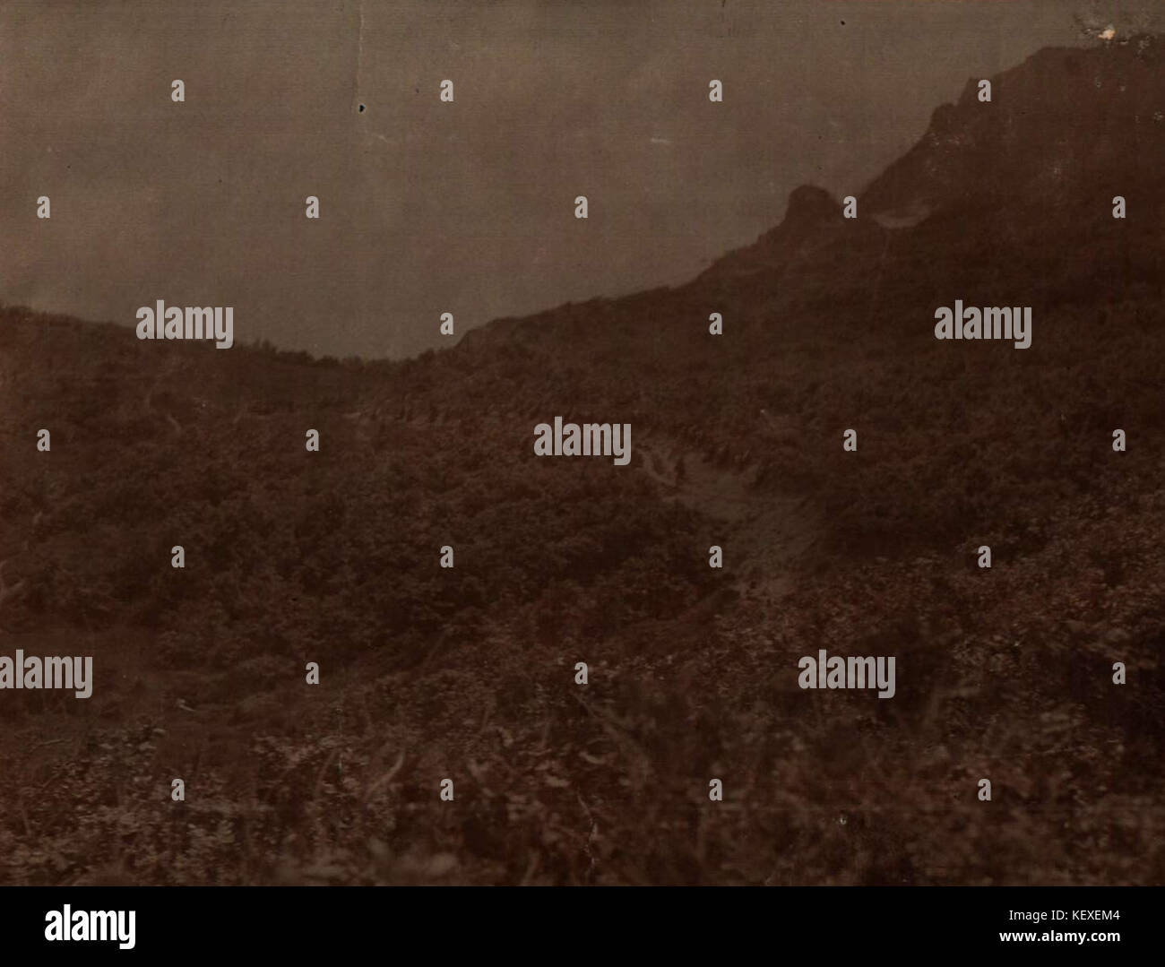 1153K 1 8 53 Prima guerra balcanica forze della Bulgaria Foto Stock