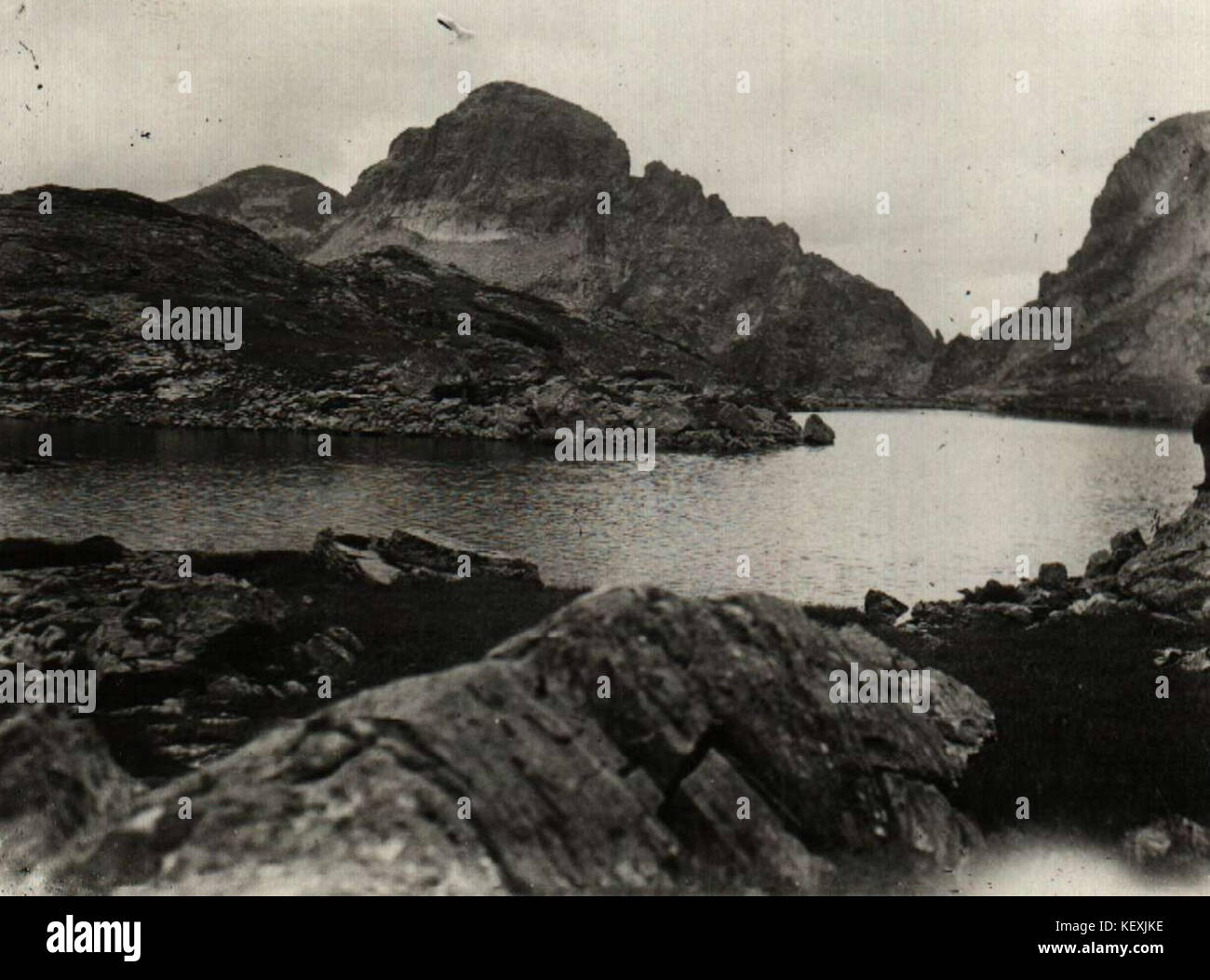 Questo riferimento verosimilmente riguarda dati geografici o informazioni scientifiche relative ai Monti Rila, una catena montuosa prominente in Bulgaria, nota per la sua ricca biodiversità e la sua bellezza naturale. Foto Stock