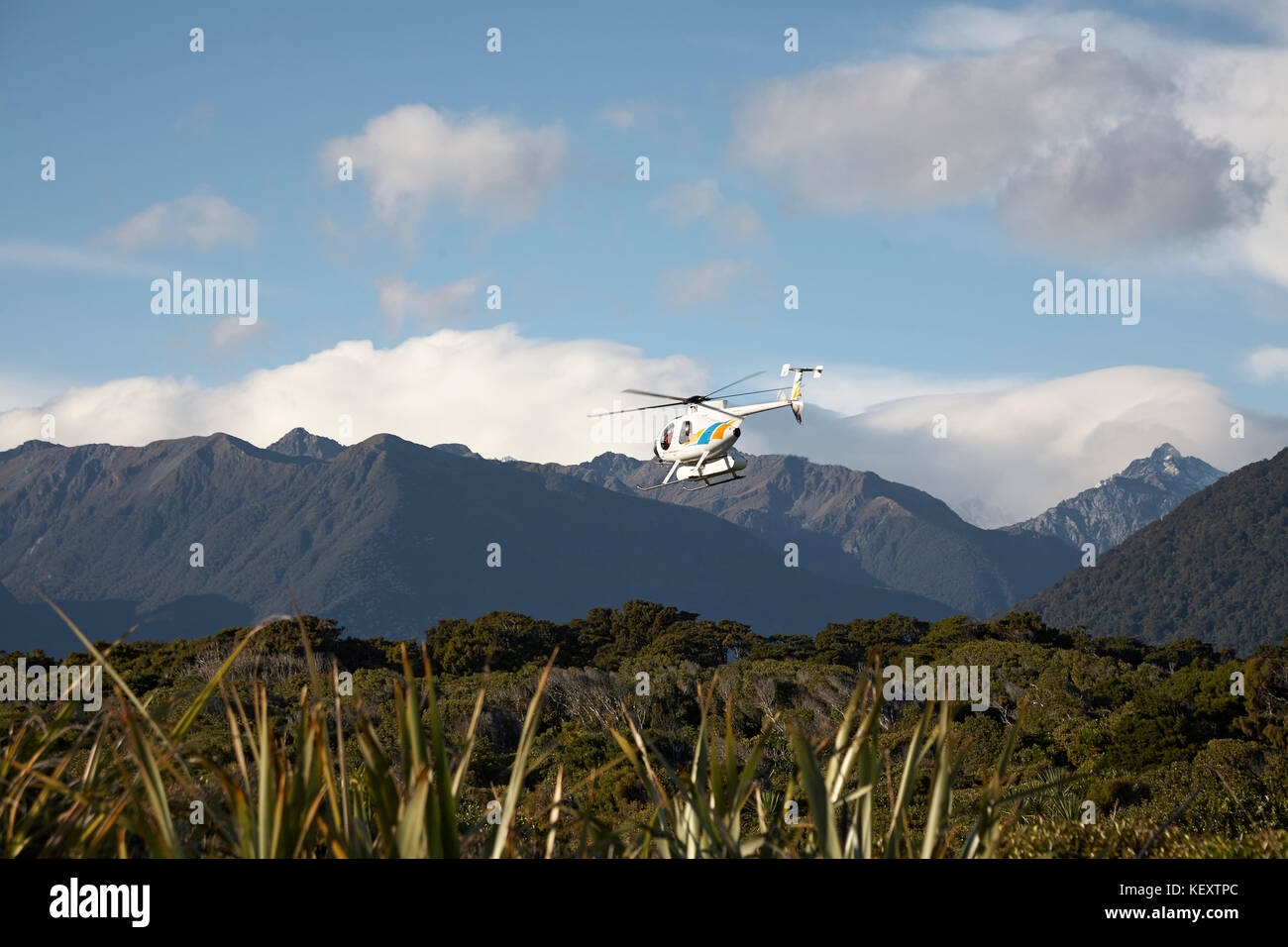 Un elicottero che vola sopra gli alberi e le montagne, Isola del Sud, Nuova Zelanda Foto Stock