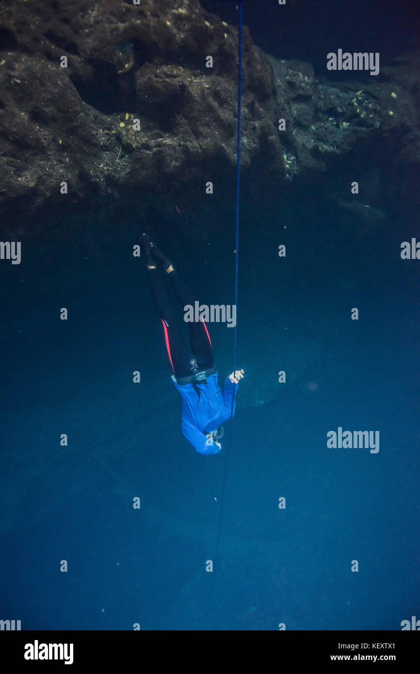 Fotografia di freediver diving con corda in cenote, Yucatan, Messico Foto Stock