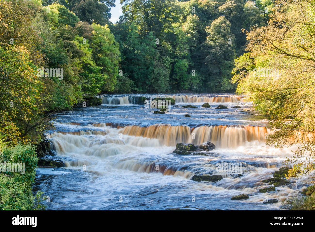 Aysgarth upper falls Foto Stock