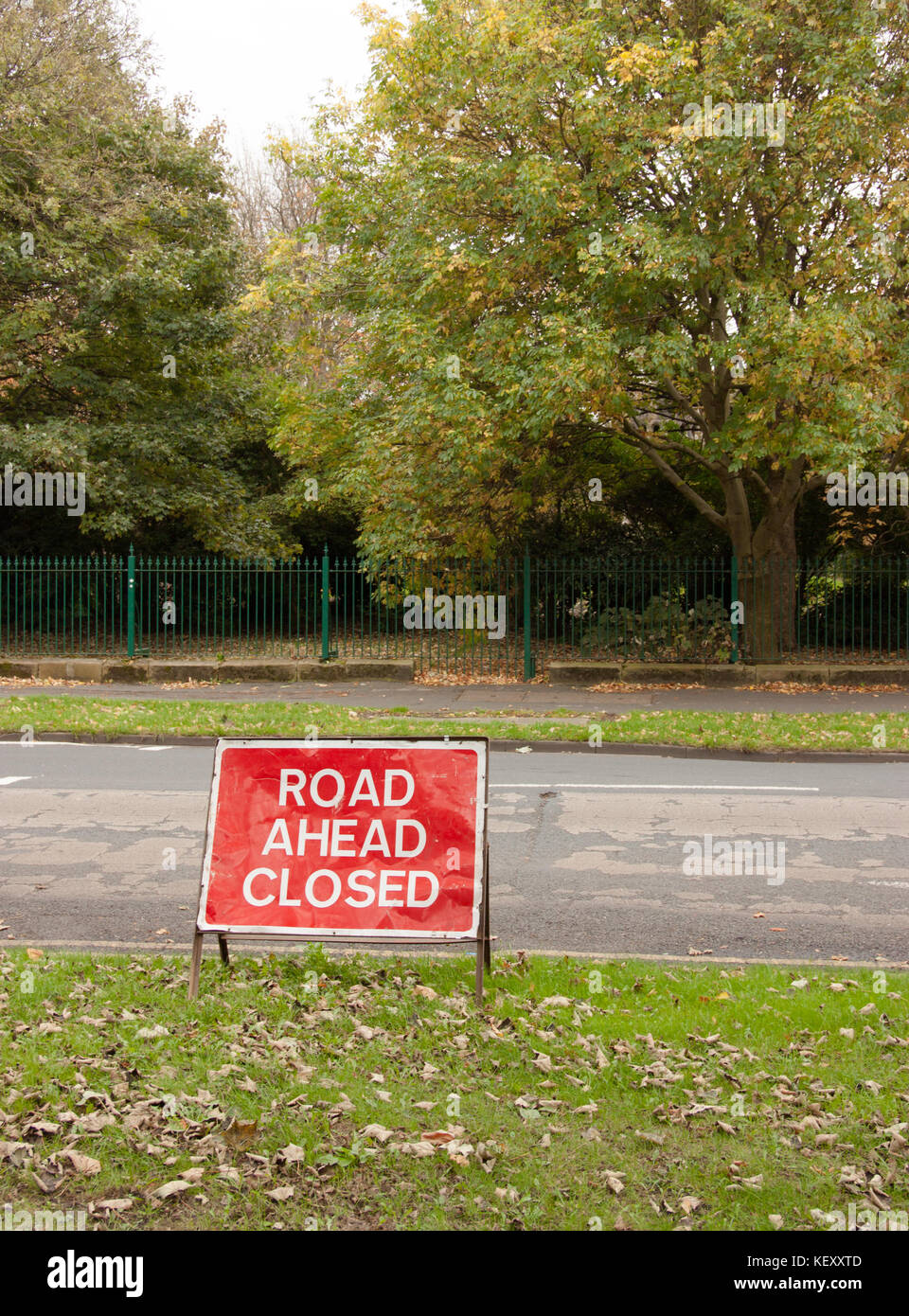 Hull city della cultura 2017, princes avenue hull Foto Stock