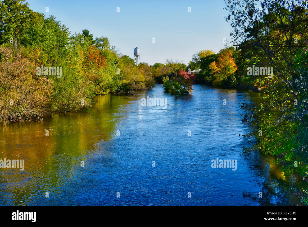 Il cedro rosso nel fiume Wisconsin Foto Stock