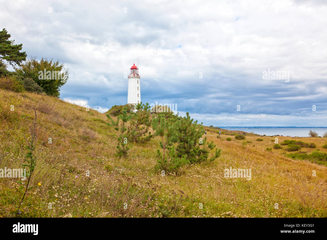 Faro di Dornbusch sull'isola Hiddense, Meclemburgo-Pomerania occidentale Foto Stock