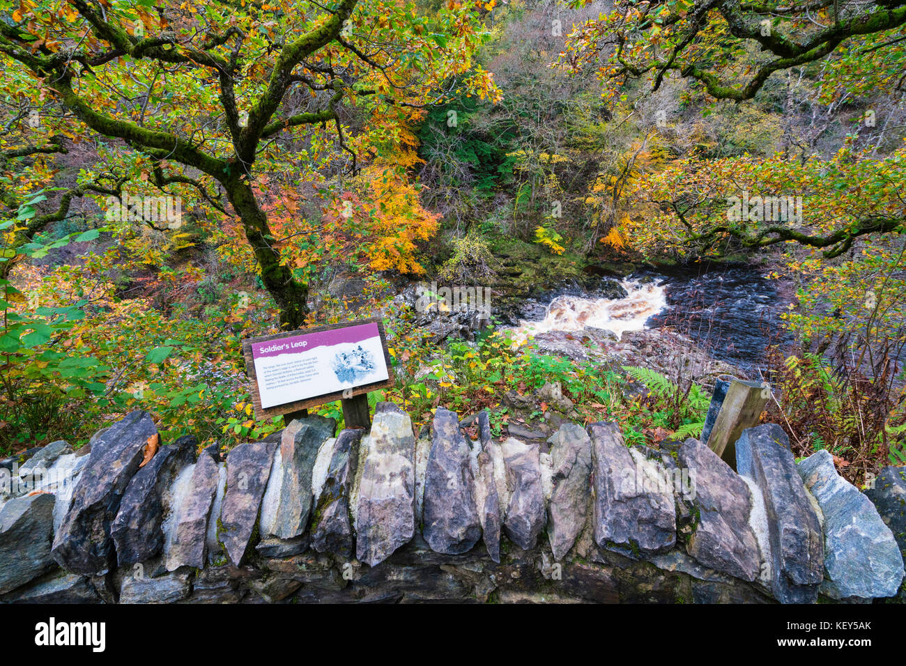Spettacolari colori autunnali nel bosco naturale sulle rive del fiume Garry presso lo storico Passo di Killiecrankie al Soldier's Leap vicino a Pitlochry. Foto Stock