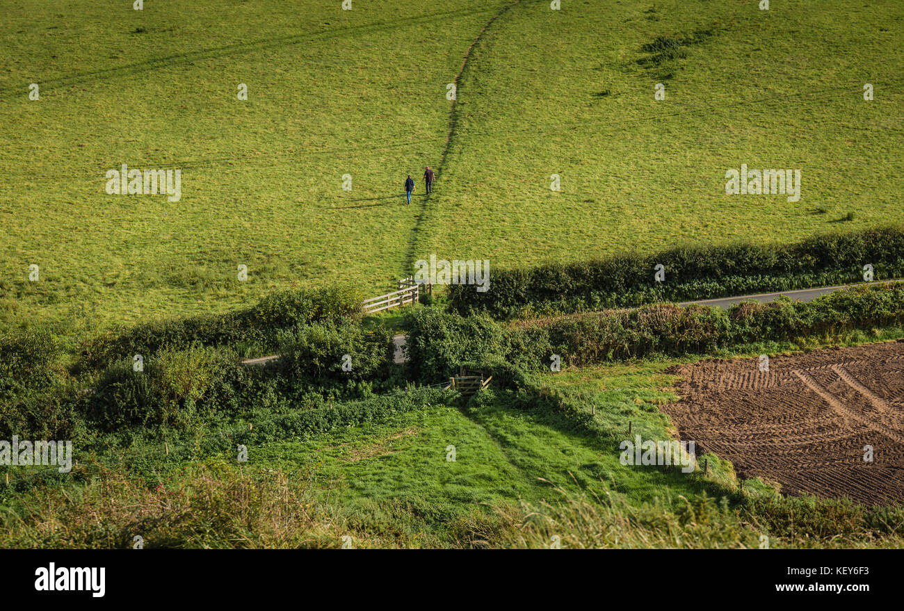 Campi circostanti Corfe Castle, Dorset. Foto Stock