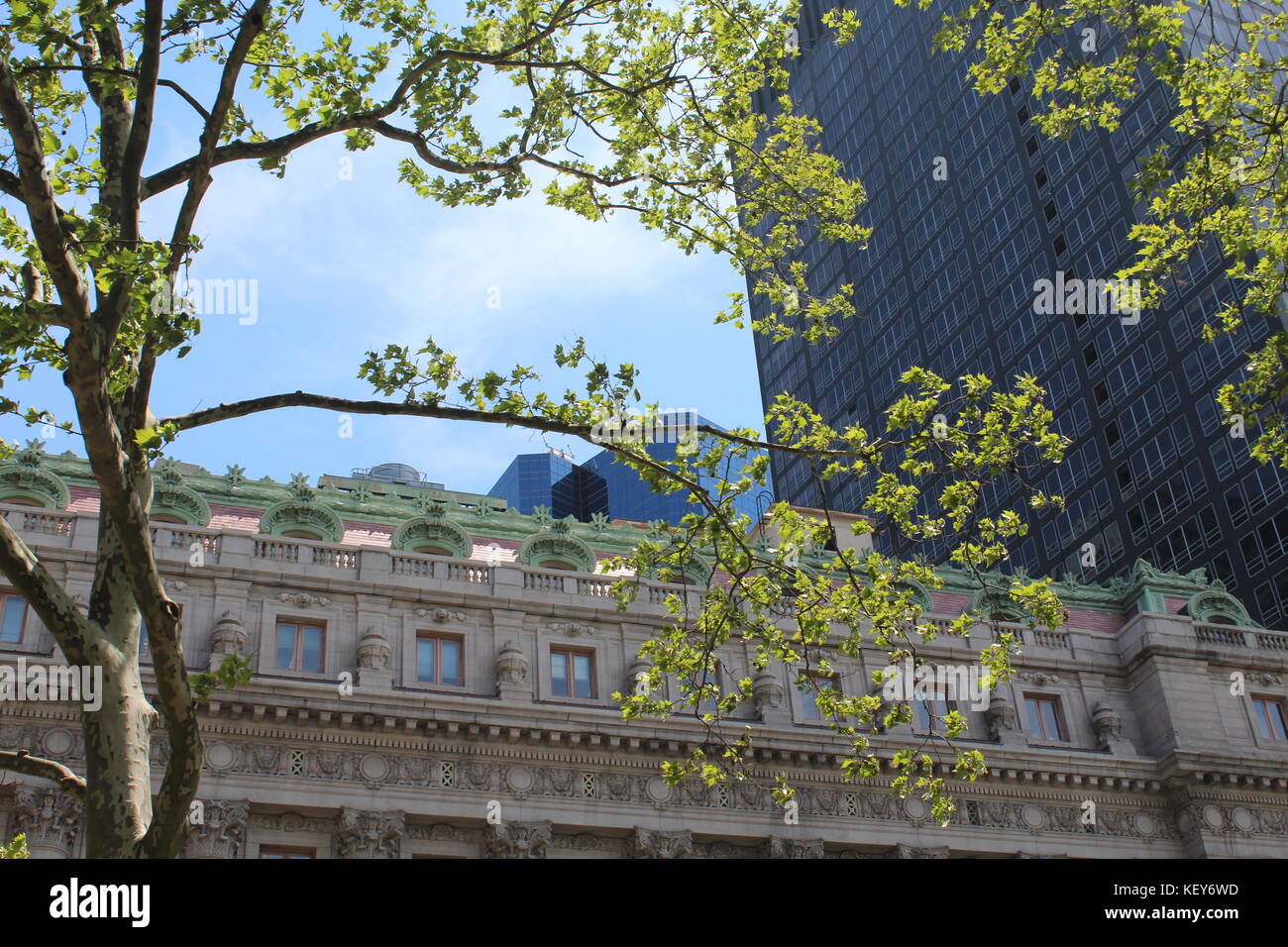La natura nella città nuova Foto Stock