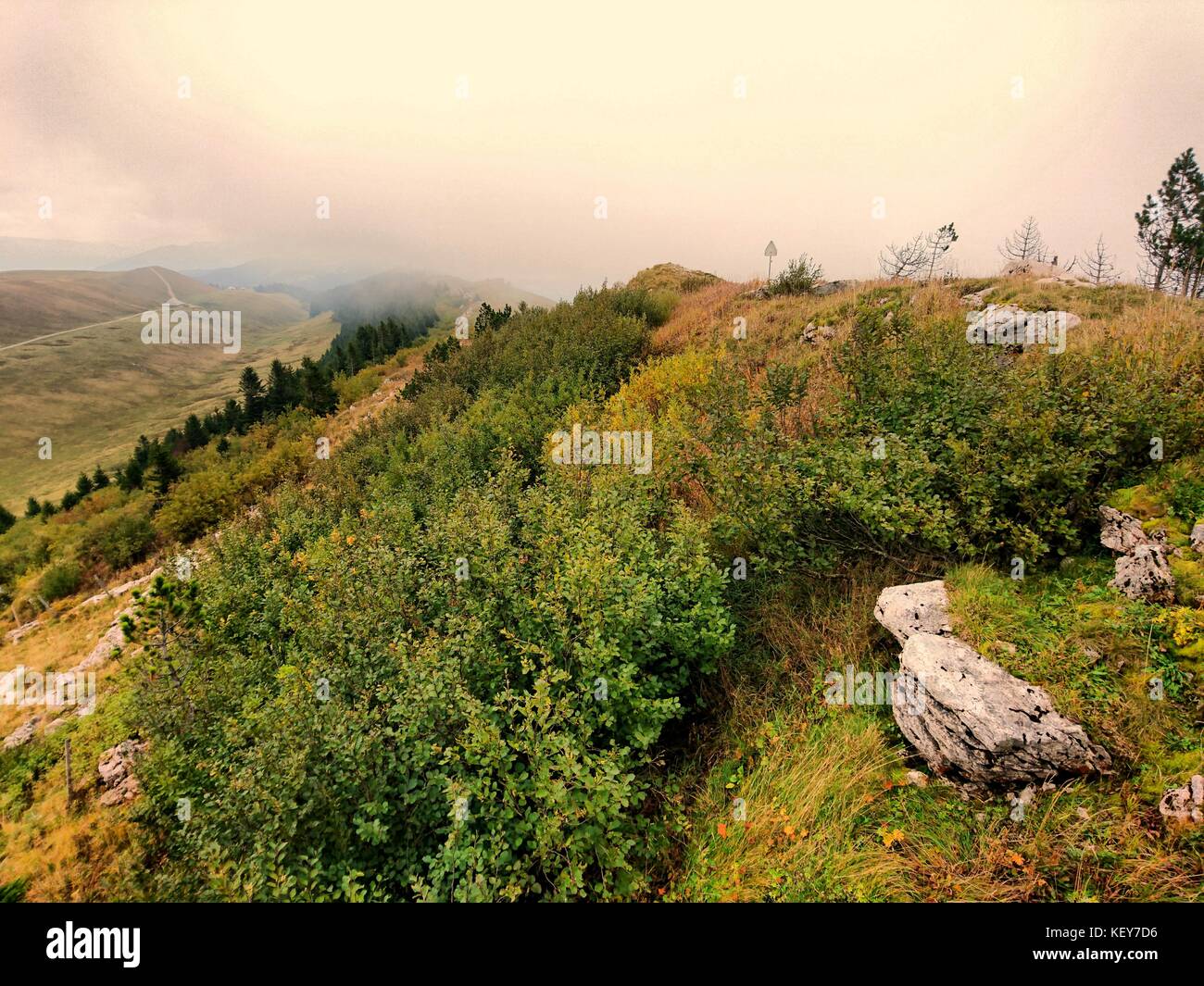 Boccole sulla swiss highlands Foto Stock