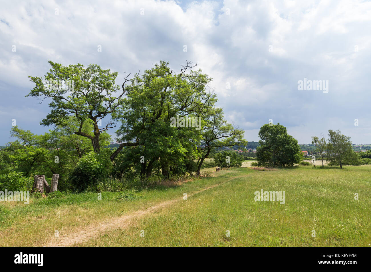 Vista dei prati, alberi e sentiero a Divoka Sarka. Si tratta di una riserva naturale alla periferia di Praga nella Repubblica ceca. Foto Stock