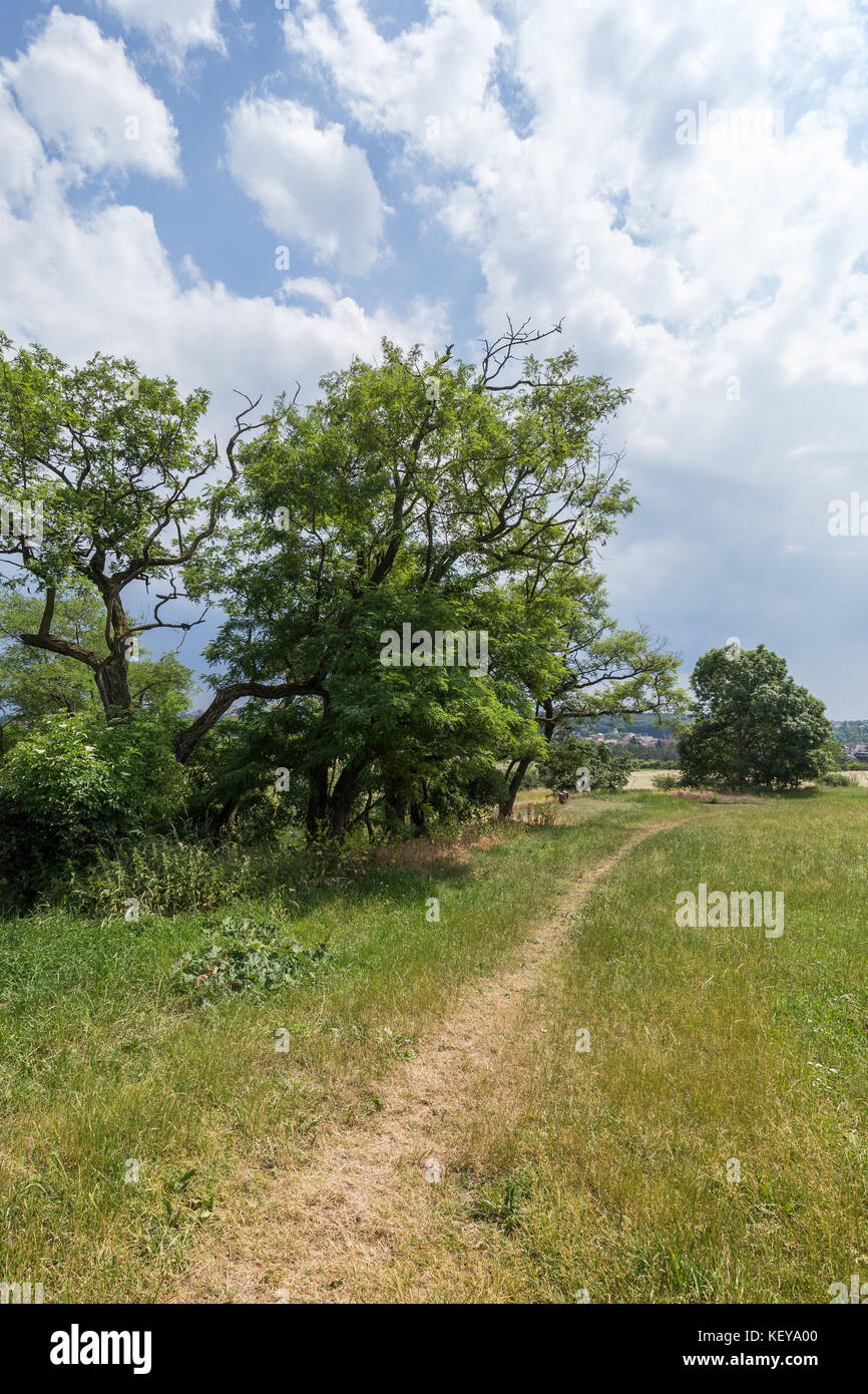 Vista dei prati, alberi e sentiero a Divoka Sarka. Si tratta di una riserva naturale alla periferia di Praga nella Repubblica ceca. Foto Stock