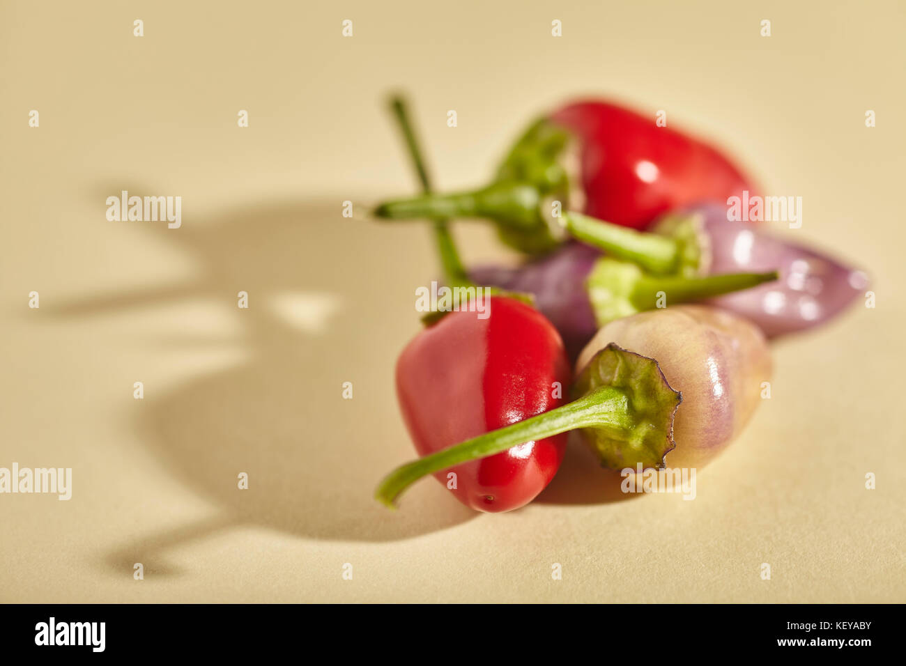 Tutto fresche, piccolo rosso e viola peperoncini piccanti Foto Stock