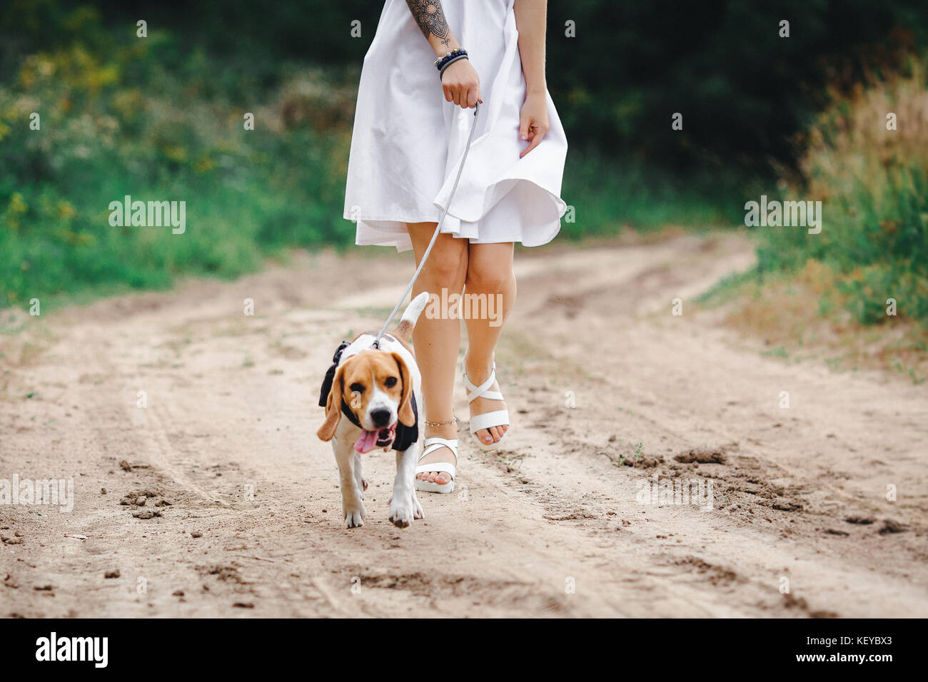 Bellissima ragazza con il cane è in esecuzione lungo la strada Foto Stock