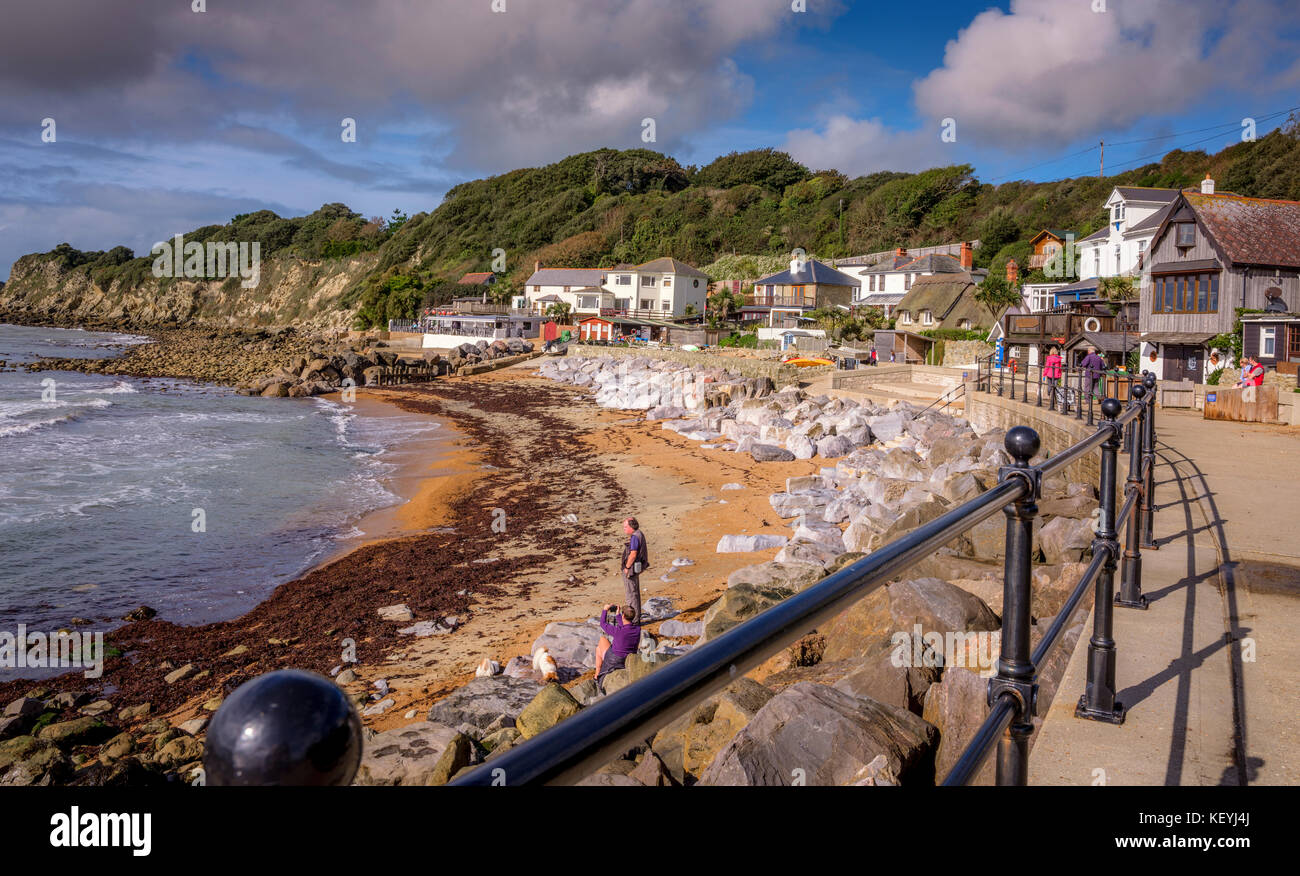 Steephill Cove sull'Isola di Wight vicino a Ventnor. Il Cove e può essere raggiunto solo a piedi dai visitatori. Foto Stock