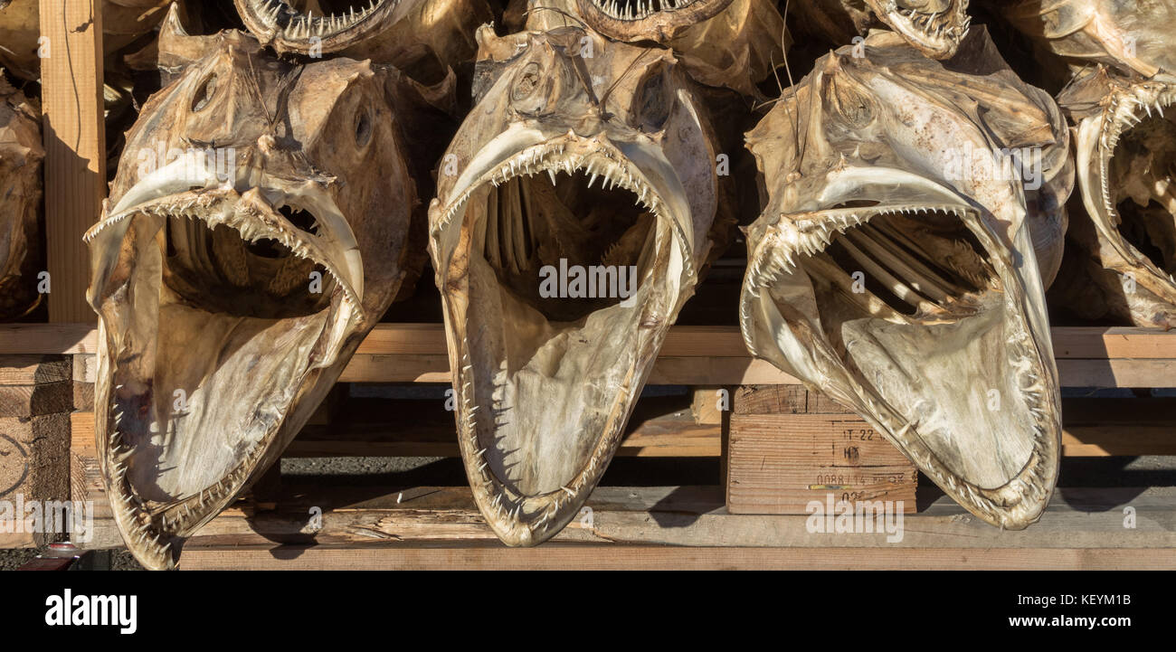 Tre pesci secchi capi da cod impilati su un pallet Foto Stock