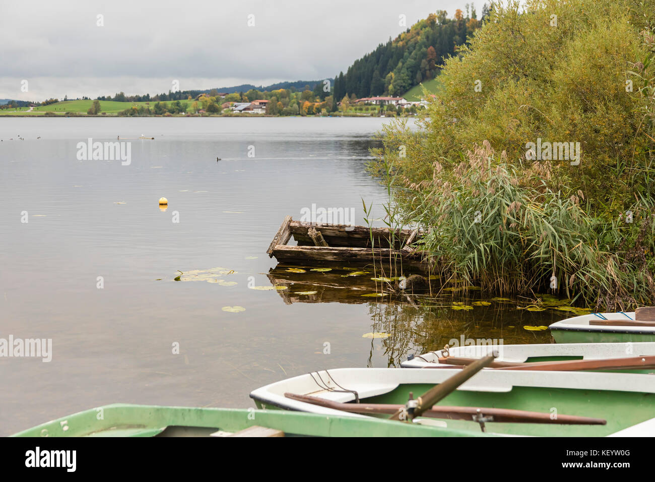 Vista dall 'hopfen am see" Foto Stock