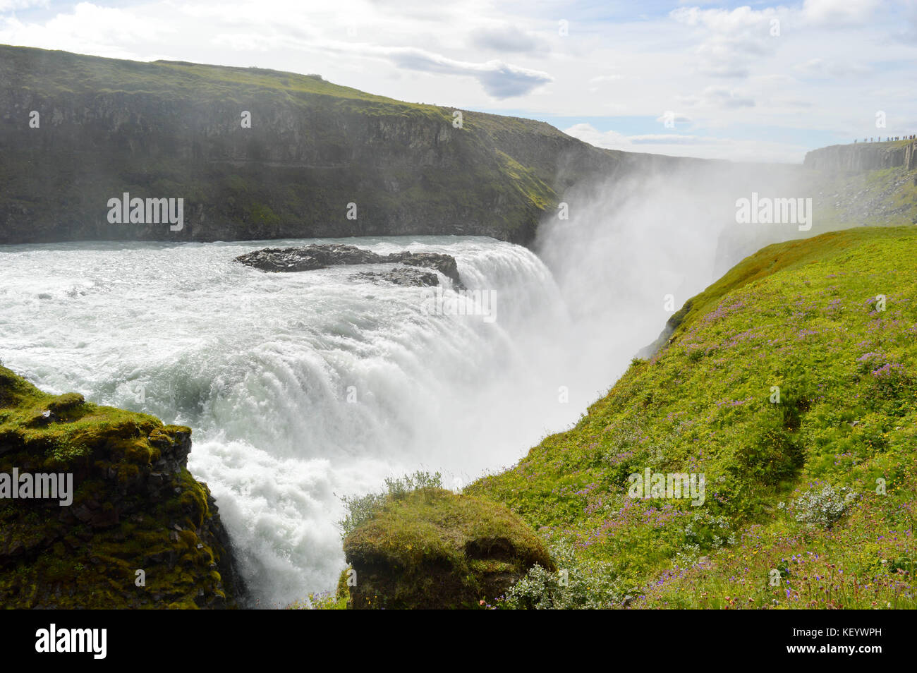 Potente cascata dorata in Islanda, una delle principali attrazioni turistiche. Foto Stock