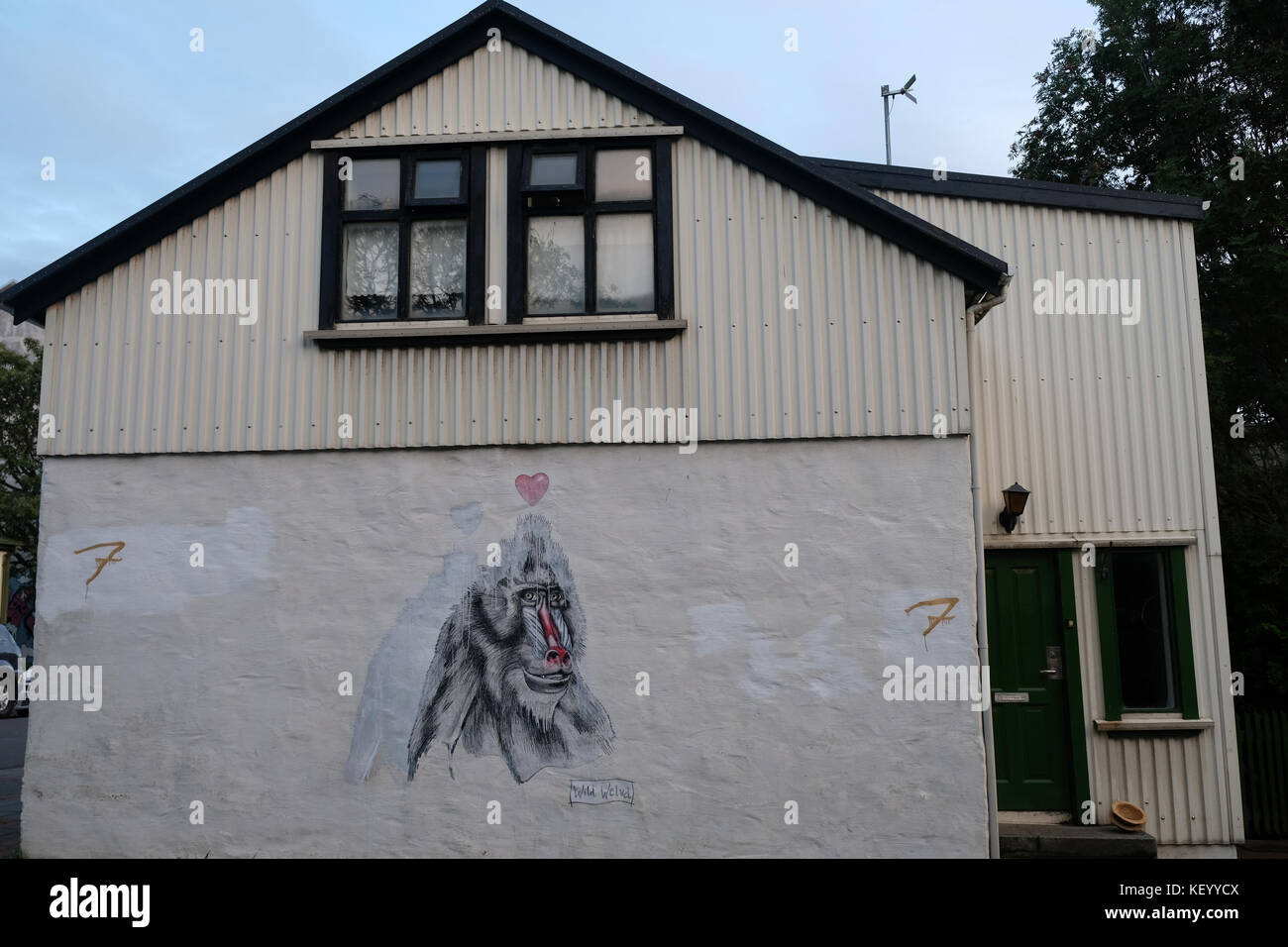 Murale di scimmia e punti interrogativi sul lato del muro dell'edificio a Reykjavik, capitale dell'Islanda, Scandinavia Foto Stock Murale di scimmia e punti interrogativi sul lato del muro dell'edificio a Reykjavik, capitale dell'Islanda, Scandinavia Foto Stock