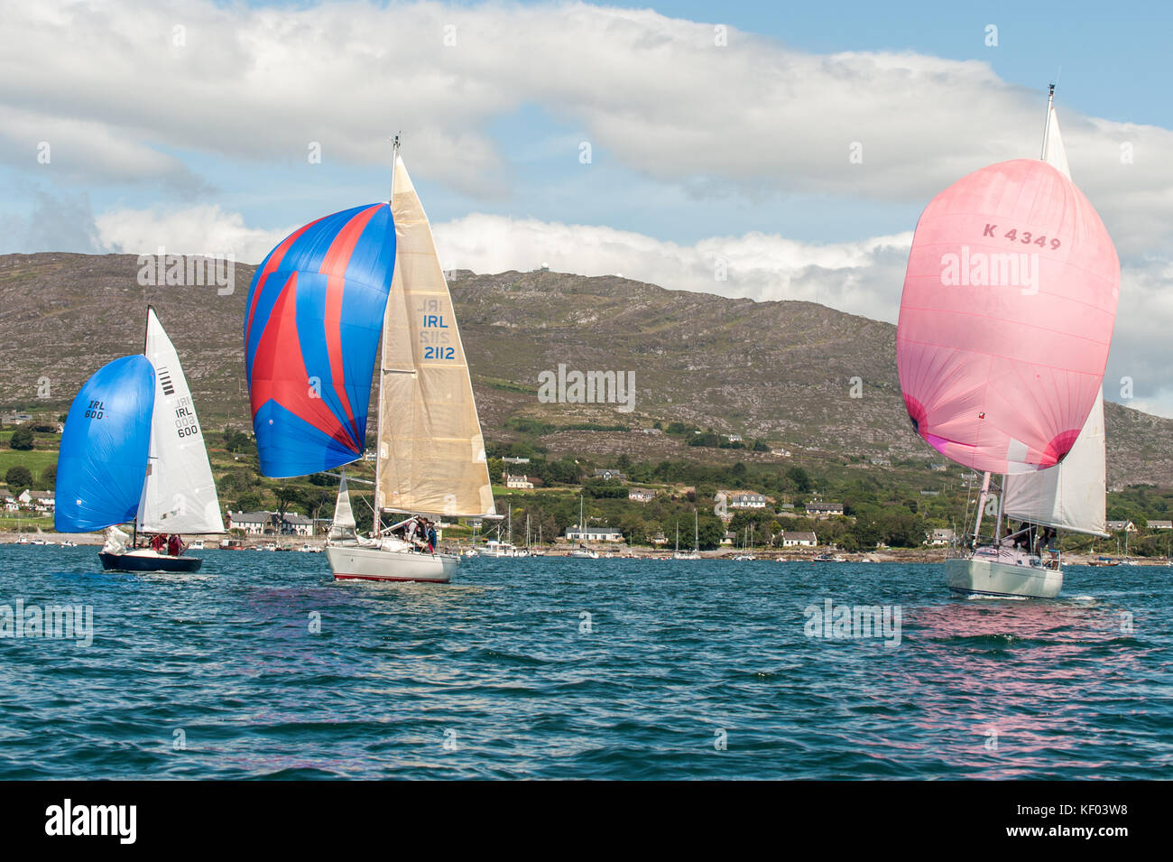 Yacht con loro spinnaker battenti gara durante Schull vitelli settimana, Schull, West Cork, Irlanda con copia spazio. Foto Stock