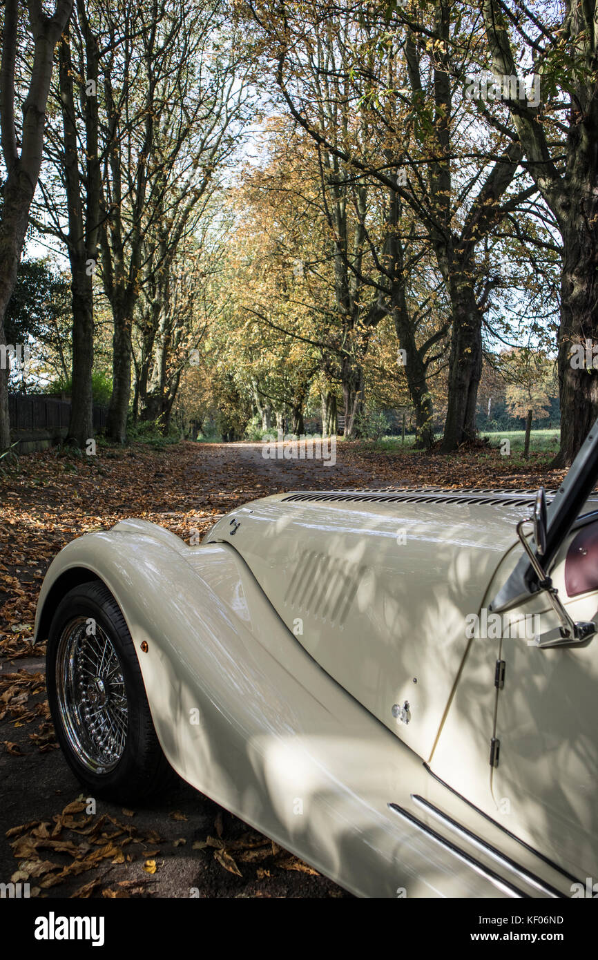 Una crema Morgan Auto sportiva fotografato in autunno e in legno di Cragg, Rawdon, Yorkshire Foto Stock