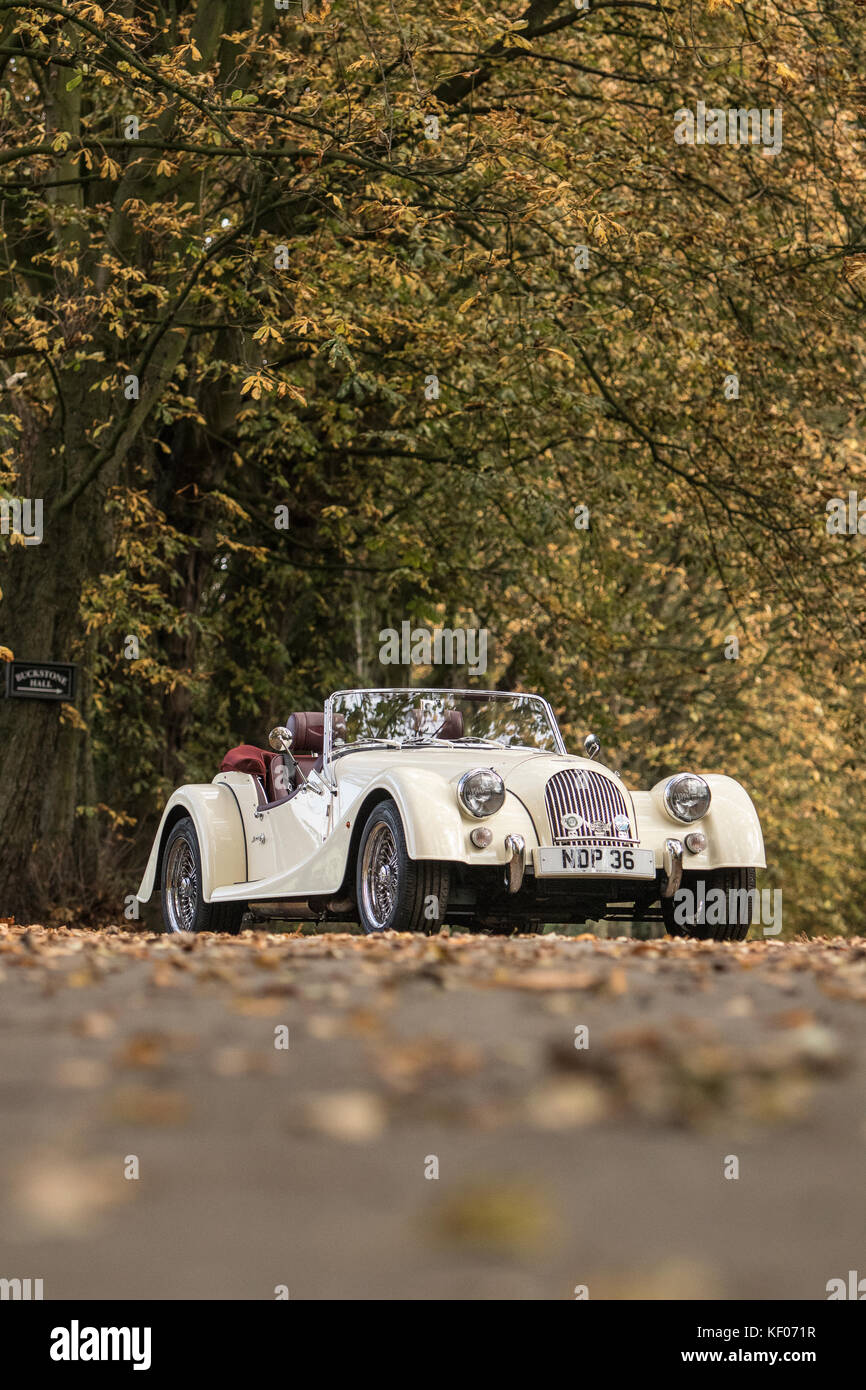 Una crema Morgan Auto sportiva fotografato in autunno e in legno di Cragg, Rawdon, Yorkshire Foto Stock