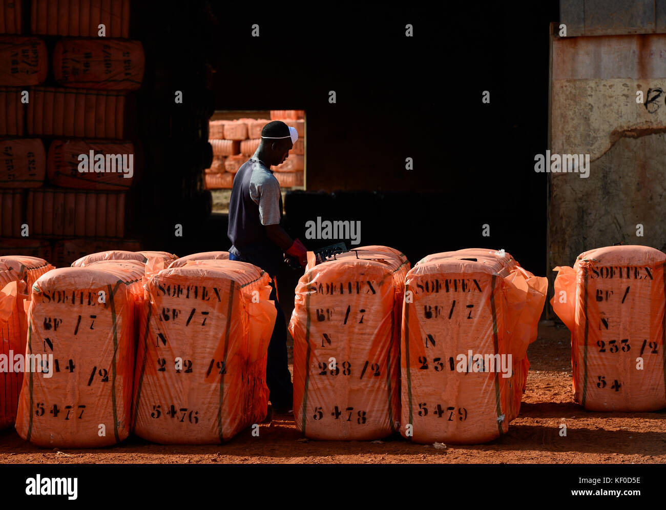 Il BURKINA FASO , Bobo Dioulasso, Société des Burkinabè Fibre tessili SOFITEX sgranatura unità aziendale Bobo io, elaborazione di convenzionali e gene manipolato Monsanto cotone BT, le balle sono pronti per l'esportazione avvolto in della copertura in plastica arancione / SOFITEX, Fabrik fuer Baumwollentkernung Werk Bobo I, Verarbeitung von konventioneller und genmanipulierter Monsanto Baumwolle, Ballen in Plastikfolie fertig fuer den esportazione Foto Stock