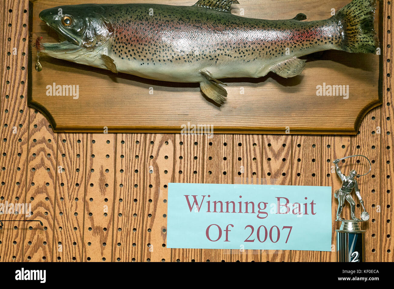 Esca vincente 2007 montato trofeo di pesce su una targa di legno su una parete in legno con segno di seguito Foto Stock